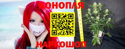 гидра Моздок
